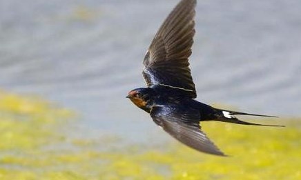 Hãy cho mình một niềm tin (Bài đọc hiểu tiếng Việt lớp 3 - đề số 16)